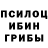 Псилоцибиновые грибы прущие грибы repo790,E verda