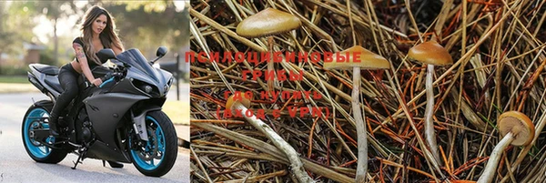 круглые Балахна