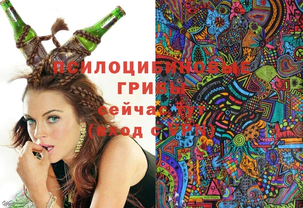apvp Баксан