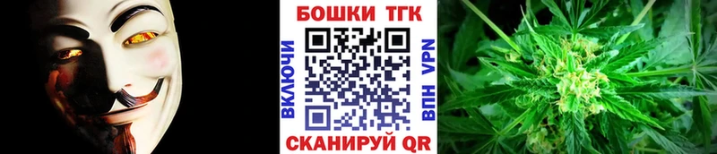 кракен вход  купить наркоту  Кушва  Бошки марихуана Amnesia 